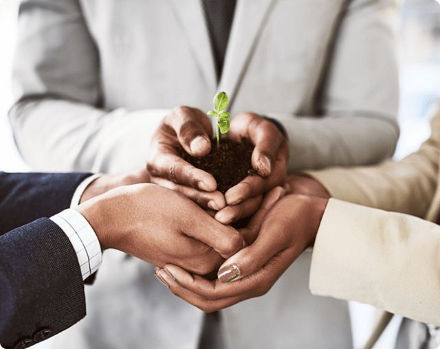 StrategicBusinessSolutions Home OurTeam